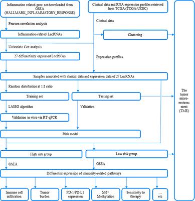 Inflammation-Related LncRNAs Signature for Prognosis and Immune Response Evaluation in Uterine Corpus Endometrial Carcinoma